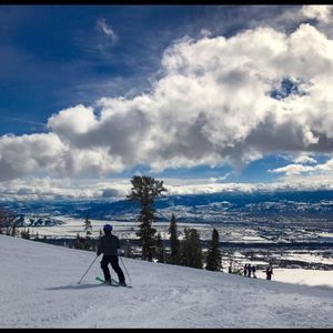 Meet your Posher, Andrew